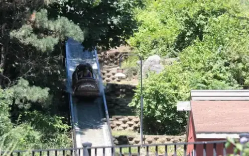 Dorney Park - Open, 11:00am–11:00pm