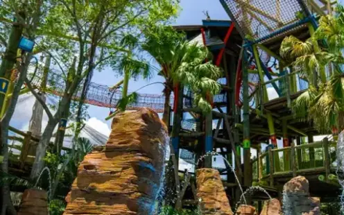 Busch Gardens Tampa - Open, 10:00am–6:00pm