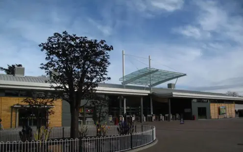 Paultons Park - Closed, 10:00am–5:00pm