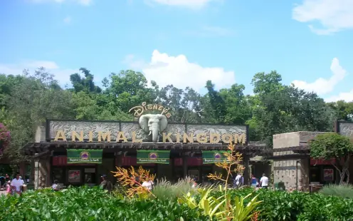 Animal Kingdom - Open, 8:00am–7:00pm